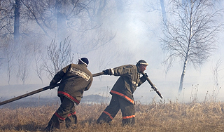 В России бушуют лесные пожары В России бушуют лесные пожары