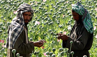 Афганистан просит помощи у России Афганистан просит помощи у России