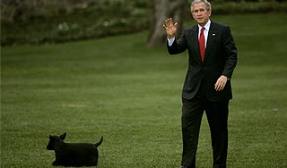 Джордж Буш сделал сенсационное признание Джордж Буш сделал сенсационное признание