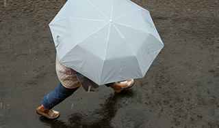 К выходным в Москву вернутся дожди К выходным в Москву вернутся дожди