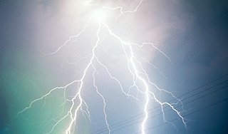 Молния убила мать семейства Молния убила мать семейства