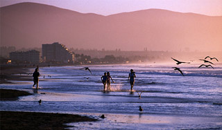 Владимиру Путину описали отдых россиян Владимиру Путину описали отдых россиян