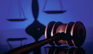 Женщину наказали за заморозку детей Женщину наказали за заморозку детей