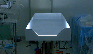 Врачи опоздали с заморозкой Майкла Джексона Врачи опоздали с заморозкой Майкла Джексона