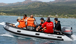 "Черный ящик" А310 подал сигнал "Черный ящик" А310 подал сигнал