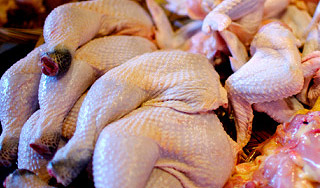 В Химках похищены 15 тонн куриных окорочков В Химках похищены 15 тонн куриных окорочков