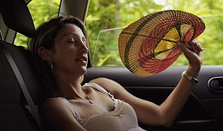 Как перенести жару в машине Как перенести жару в машине