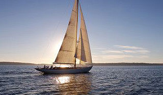 В Эстонии яхта задавила кабана В Эстонии яхта задавила кабана