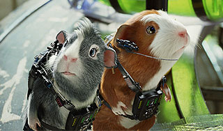 Тина Канделаки превратилась в свинку Тина Канделаки превратилась в свинку