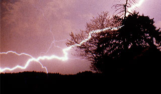 Шаровая молния убила пастуха на лошади Шаровая молния убила пастуха на лошади