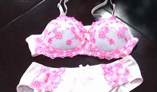 Мэра арестовали за кражу женского белья Мэра арестовали за кражу женского белья