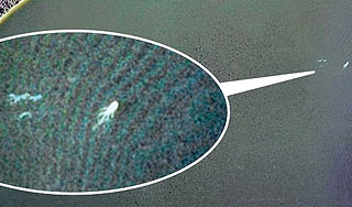 Фото чудовища сделали из космоса Фото чудовища сделали из космоса