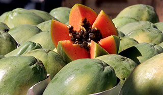 Найдено лекарство от нового гриппа A/H1N1 Найдено лекарство от нового гриппа A/H1N1