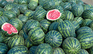 Контрабандистов выдали пьяные арбузы Контрабандистов выдали пьяные арбузы