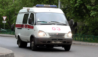 В Томске на девочку упал тополь В Томске на девочку упал тополь