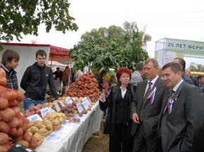 "Свинская" ярмарка