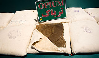 Афганистан снизил цену опиума Афганистан снизил цену опиума