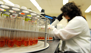 У человека обнаружены новые гены У человека обнаружены новые гены