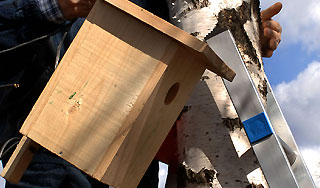 В Ставрополе нашли бомбу-скворечник В Ставрополе нашли бомбу-скворечник