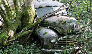 В Швейцарии разорили кладбище ретро-авто В Швейцарии разорили кладбище ретро-авто