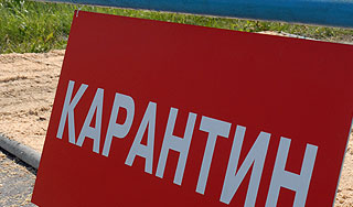 В Ростовской области обнаружена чума В Ростовской области обнаружена чума