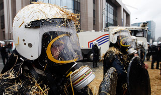 Фермеры закидали полицейских сеном и яйцами Фермеры закидали полицейских сеном и яйцами