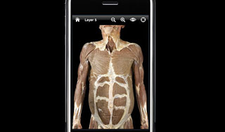 IPhone поможет водителю, снайперу и врачу IPhone поможет водителю, снайперу и врачу
