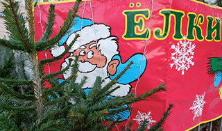 ������ ��������� � �������� ������� �������