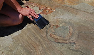 ������ ����� ���������� ����� ����������