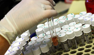 Эстониия отрицает особенность гриппа A/H1N1 Эстониия отрицает особенность гриппа A/H1N1