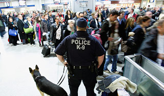 Подозрительный порошок напугал американцев Подозрительный порошок напугал американцев