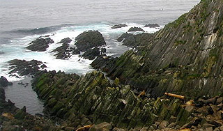 Россия предложила решение по Курилам Россия предложила решение по Курилам