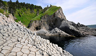 ������ ��������� � "���������� ���������"