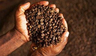 ���� ������ ������� ����