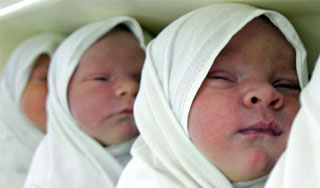 Материнский капитал доверили отцам Материнский капитал доверили отцам