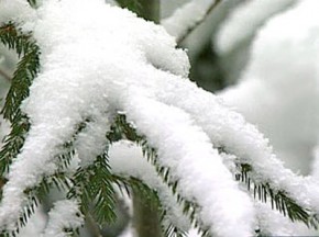 МЧС объявило оперативное предупреждение