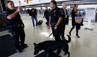 Полиция США перепутала мед со взрывчаткой Полиция США перепутала мед со взрывчаткой