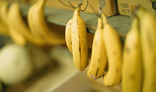 Супермаркет торговал бананами с кокаином Супермаркет торговал бананами с кокаином