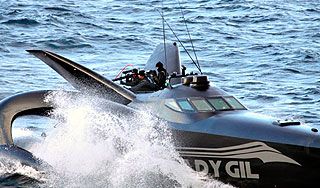 Китобои потопили суперкатер экологов Китобои потопили суперкатер экологов