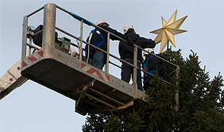 Австрийцы дают елкам вторую жизнь Австрийцы дают елкам вторую жизнь