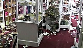 Калифорния приходит в себя после удара Калифорния приходит в себя после удара