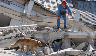 На Гаити погиб российский ученый На Гаити погиб российский ученый