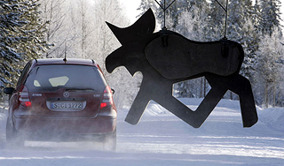 Тельцы водят машину хуже остальных Тельцы водят машину хуже остальных