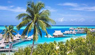 Румыния перепутала Гаити с Таити Румыния перепутала Гаити с Таити