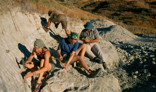 Ученые нашли следы испуганных динозавров Ученые нашли следы испуганных динозавров