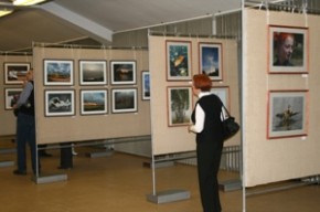 Фотографы победили на всероссийском конкурсе