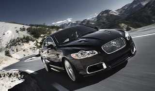 В автопарке поселили кобру и мамонта В автопарке поселили кобру и мамонта