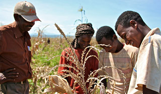 Африку охватила эпидемия хохота Африку охватила эпидемия хохота