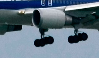 При взлете самолета из шасси выпал труп При взлете самолета из шасси выпал труп