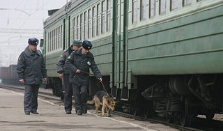 Женщина попала под московскую электричку Женщина попала под московскую электричку